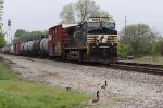 NS 4376